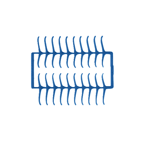 Kulzer KF Was Premolaarklammers Blauw