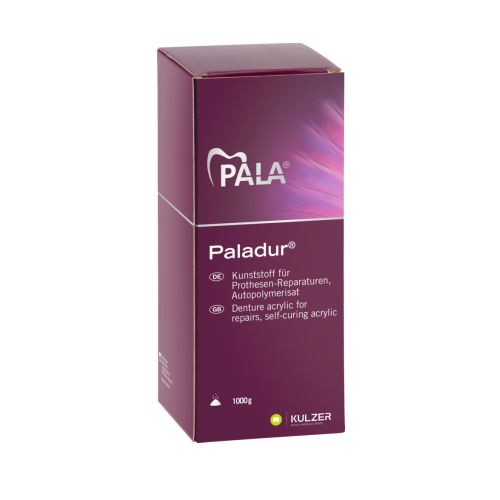 Kulzer Paladur Kunststof Koud Reparatie