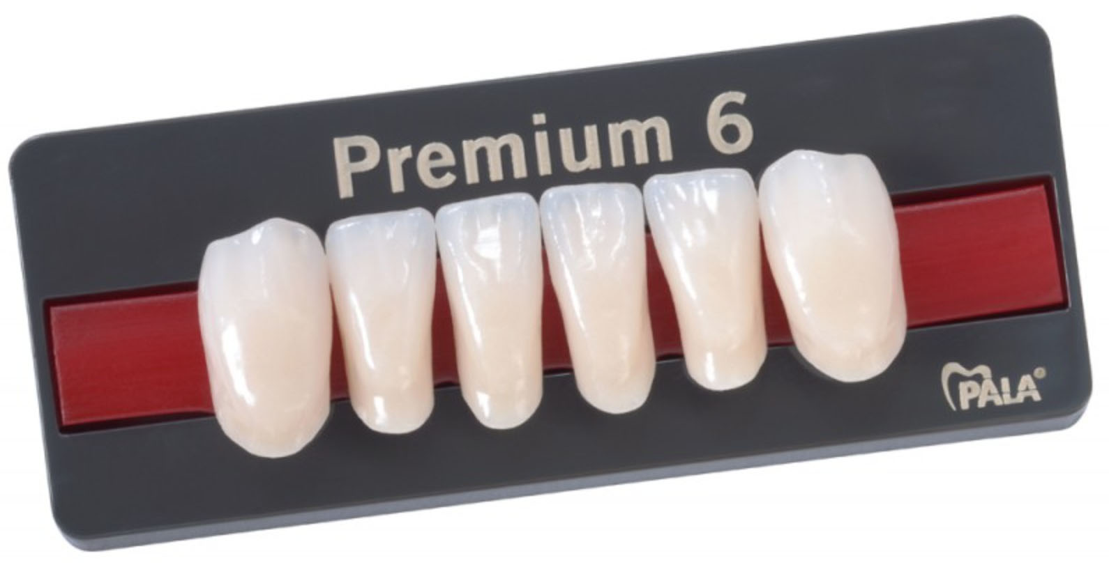 Kulzer Premium Line Tanden Onder
