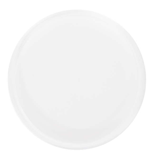 Polident Casting CAD/CAM disc