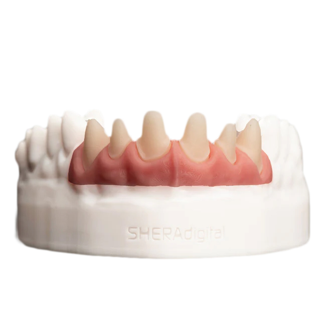 SHERAprint-gingiva 2.0 Printvloeitstof Roze